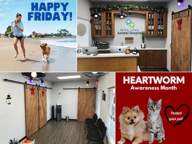 Mira Loma Animal Hospital