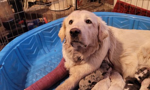 Holbrook Veterinary Clinic