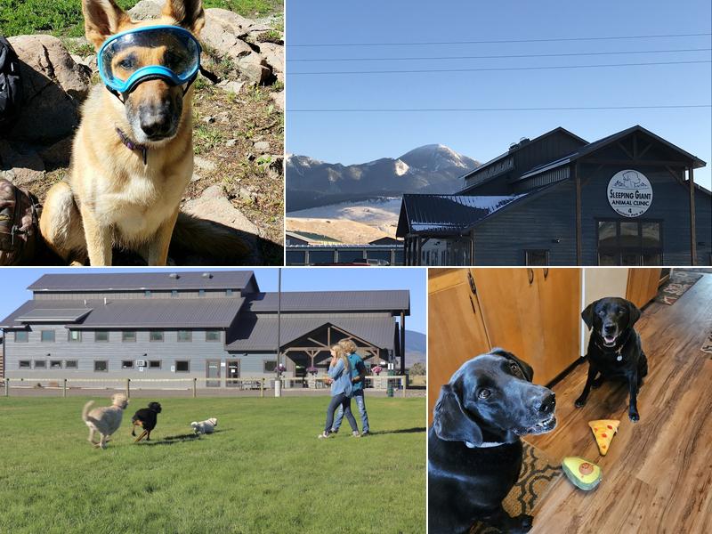 Sleeping Giant Animal Clinic