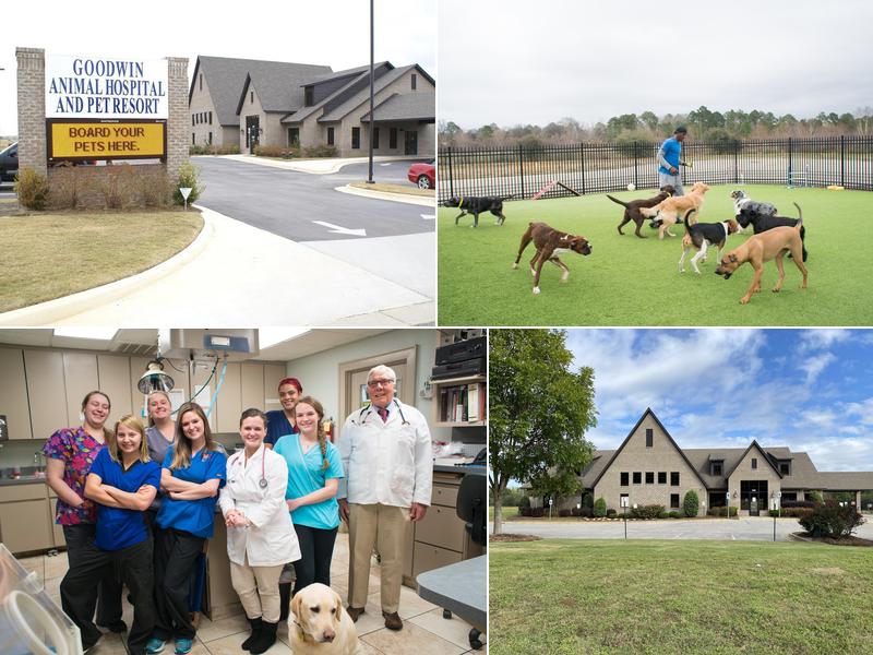 Goodwin Animal Hospital at Pike Road