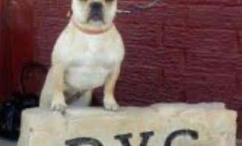 Drexel-Lacygne Veterinary Services Drexel