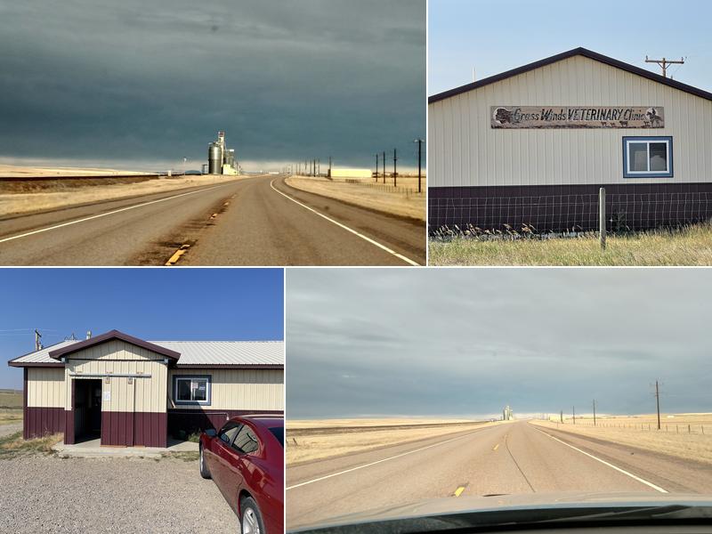 Grass Winds Veterinary Clinic