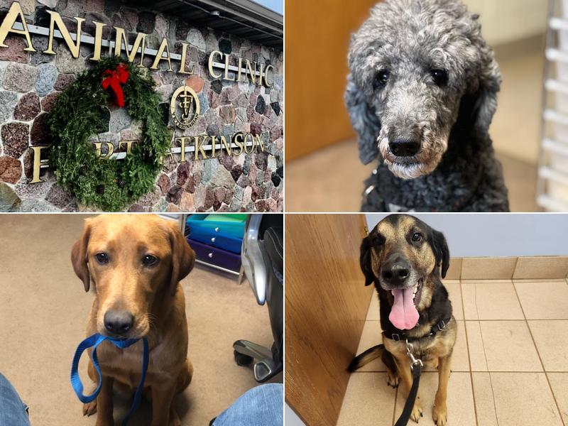 Animal Clinic of Fort Atkinson