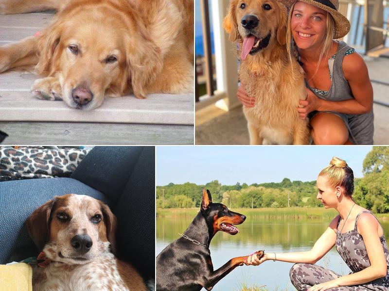 Whitewater Veterinary Hospital