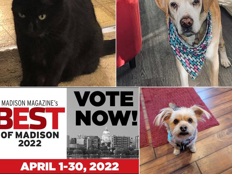 True Veterinary Care