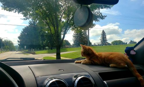 Belleville Veterinary Clinic Belleville