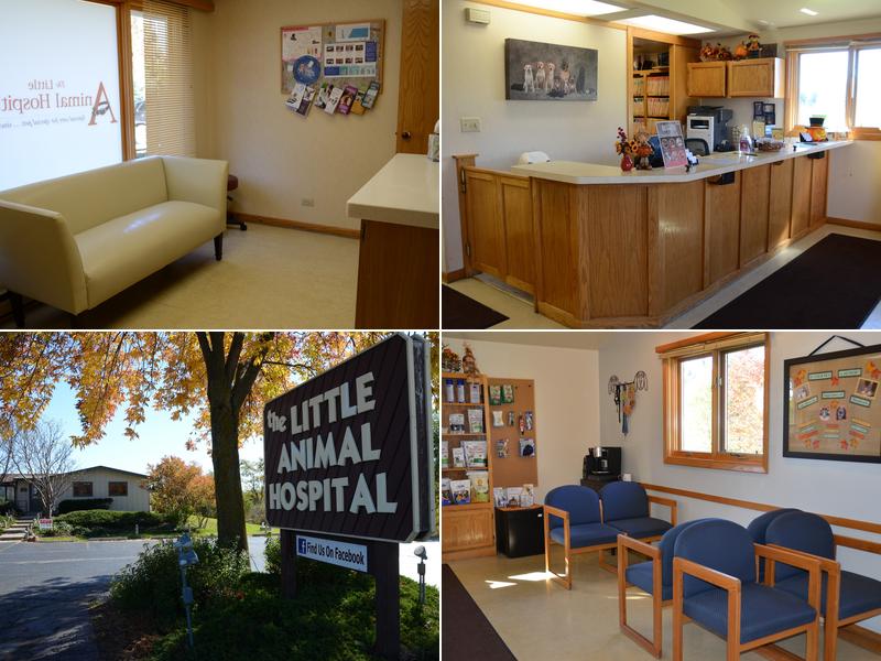 The Little Animal Hospital