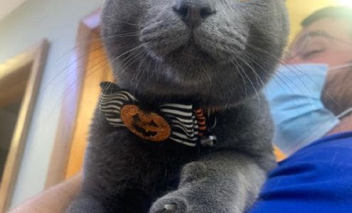 Zilker Diane DVM Sun Prairie