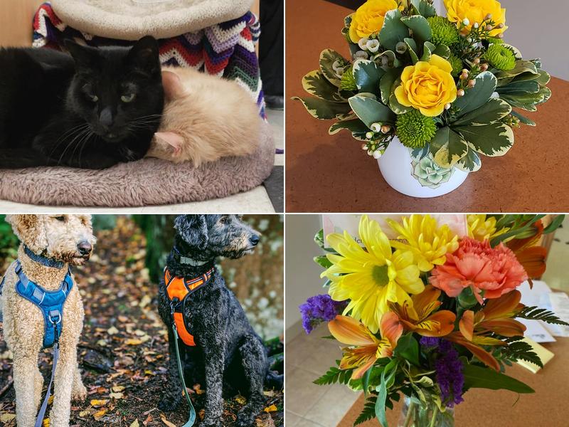 Two Harbors Vet Clinic