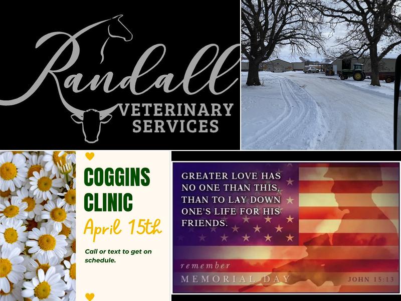 Randall Veterinary Services