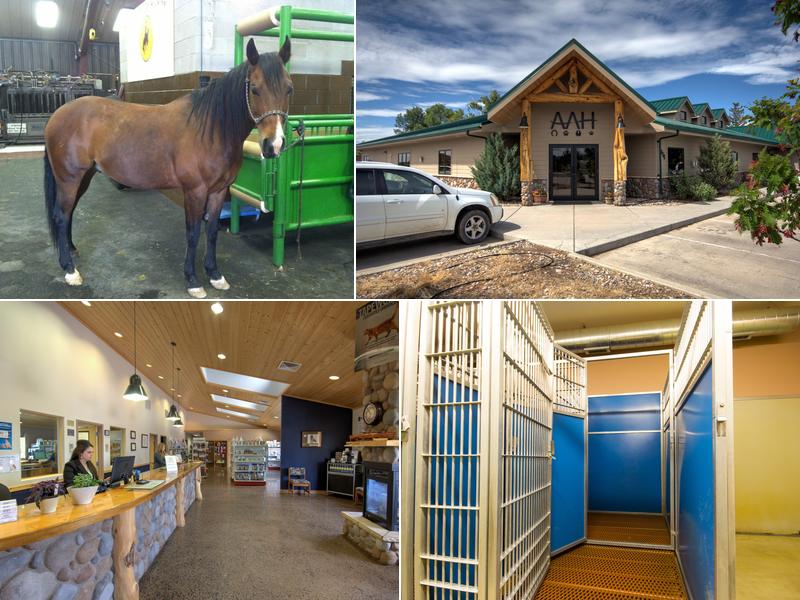 Alpine Animal Hospital