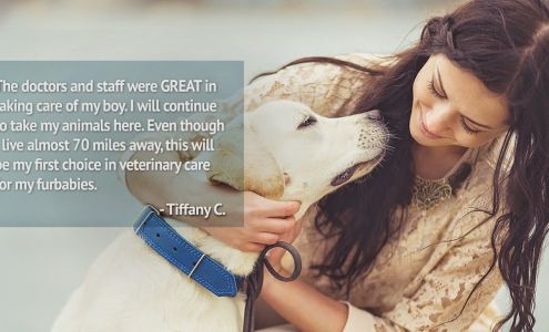 Desert View Animal Hospital 940 Elk St, Rock Springs Wyoming 82901