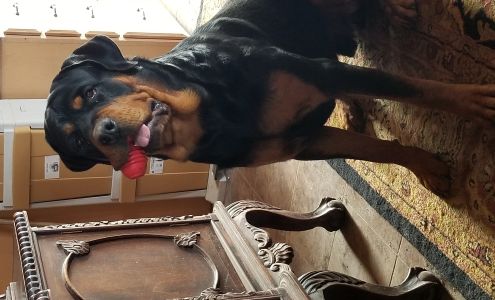 Dr. Richard Wheeler 6325 E Aspen Ridge Ct, Fort Collins Colorado 80524