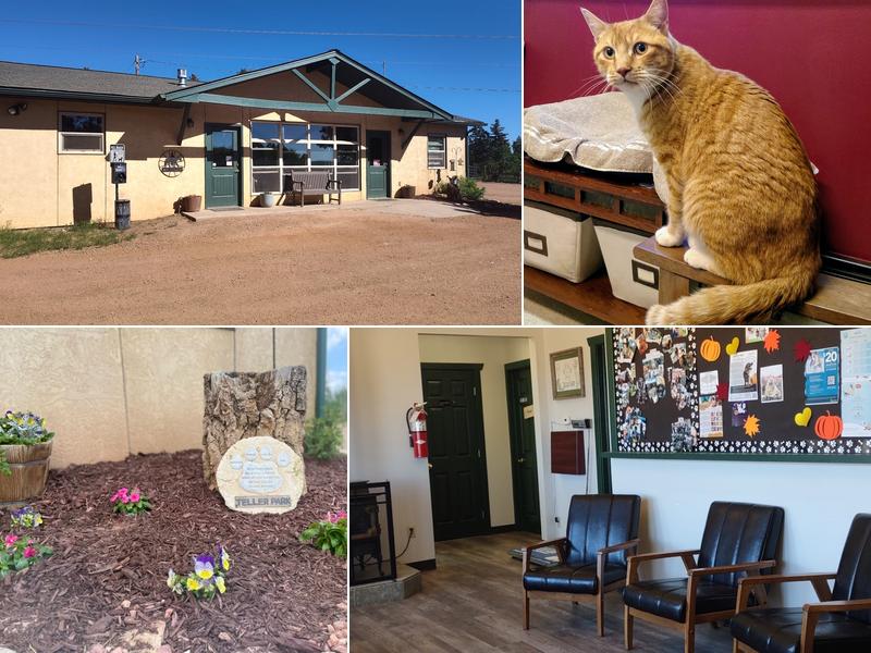 Teller Park Veterinary Service
