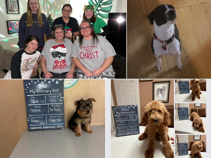 Catahoula Veterinary Clinic