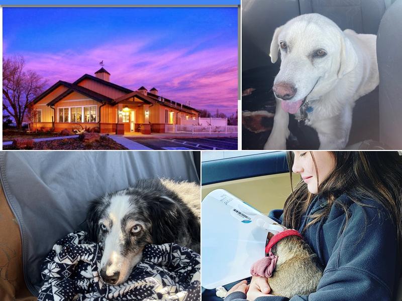 Strasburg Veterinary Clinic: Croghan Chelsea DVM