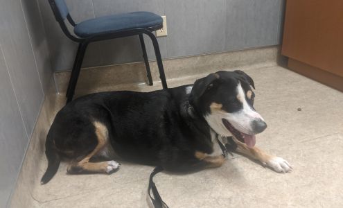 Ahwatukee Commons Veterinary Hospital