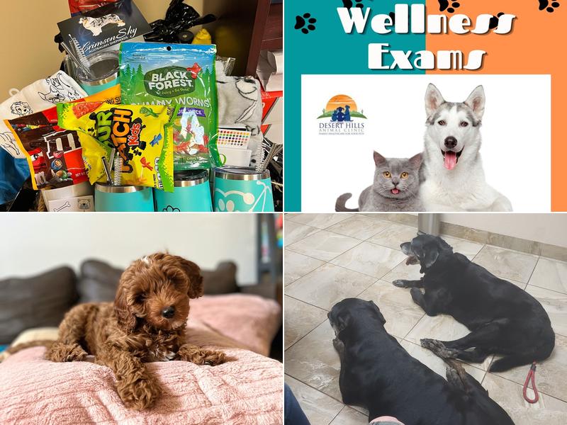 Rahal, Cheryl, Dvm - Desert Hills Animal Clinic