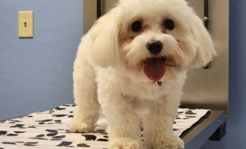 Sonoran Foothills Pet Clinic