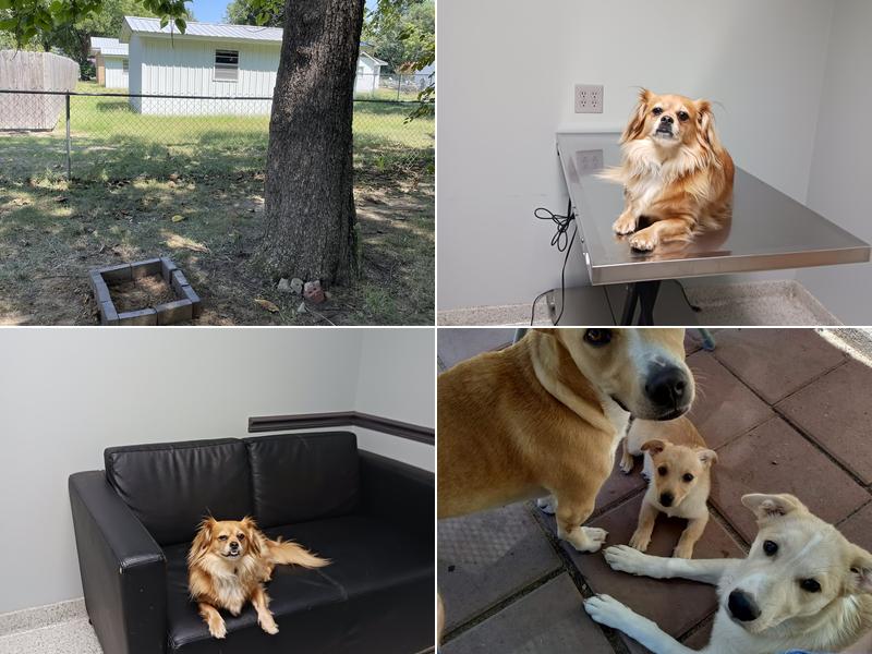 Gateway Animal Clinic