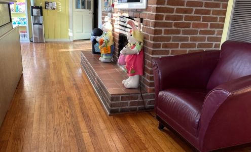 Mary's House Animal Health Covington