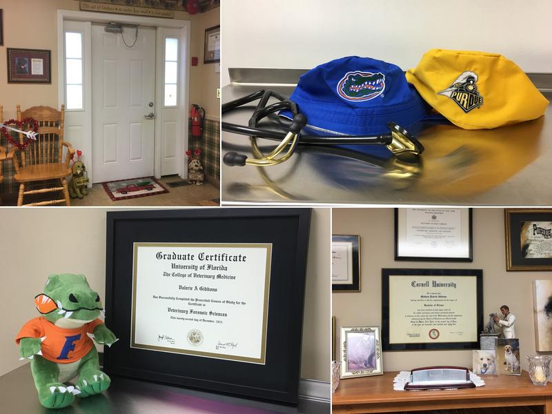 Gibbons Veterinary Hospital