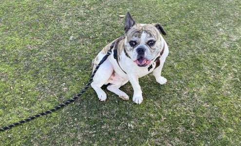 Overgaard Animal Clinic 2845 AZ-260, Overgaard Arizona 85933