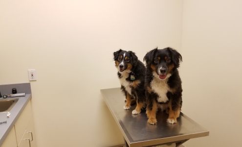 Franklin Square Veterinary