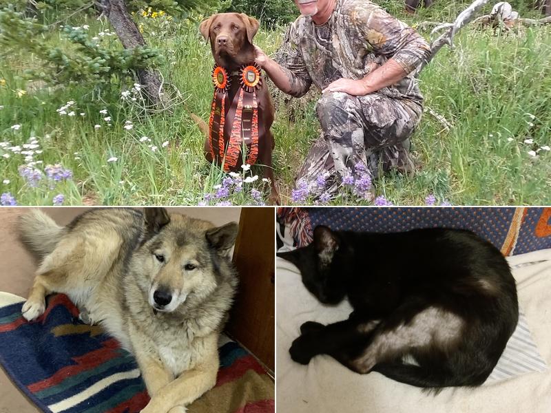 Big Timbers Veterinary Clinic