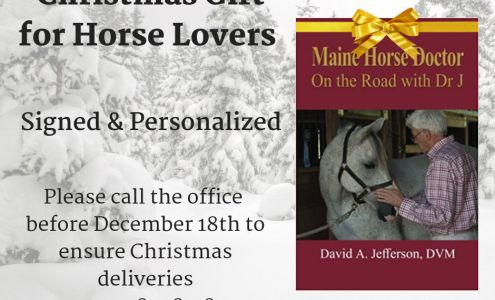 Maine Equine Associates