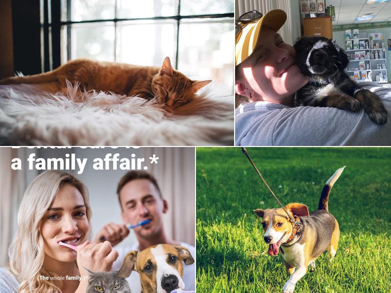 Heartland Veterinary Clinic: Anderson Emily DVM