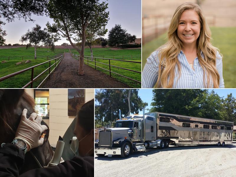 Alamo Pintado Equine Medical: Parks Gregory DVM