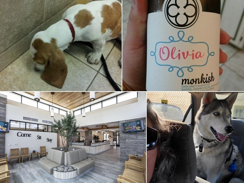 Rialto Animal Hospital: Juarez Shannon DVM