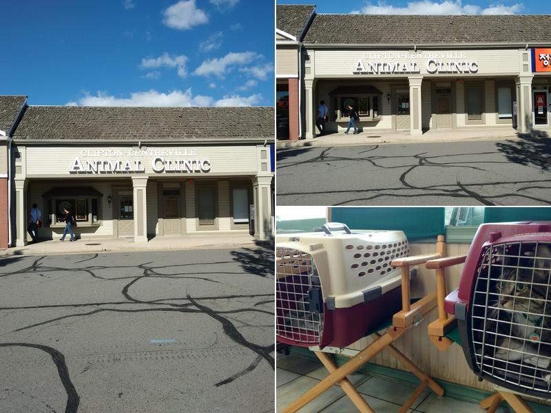 Netschert B Jamie DVM