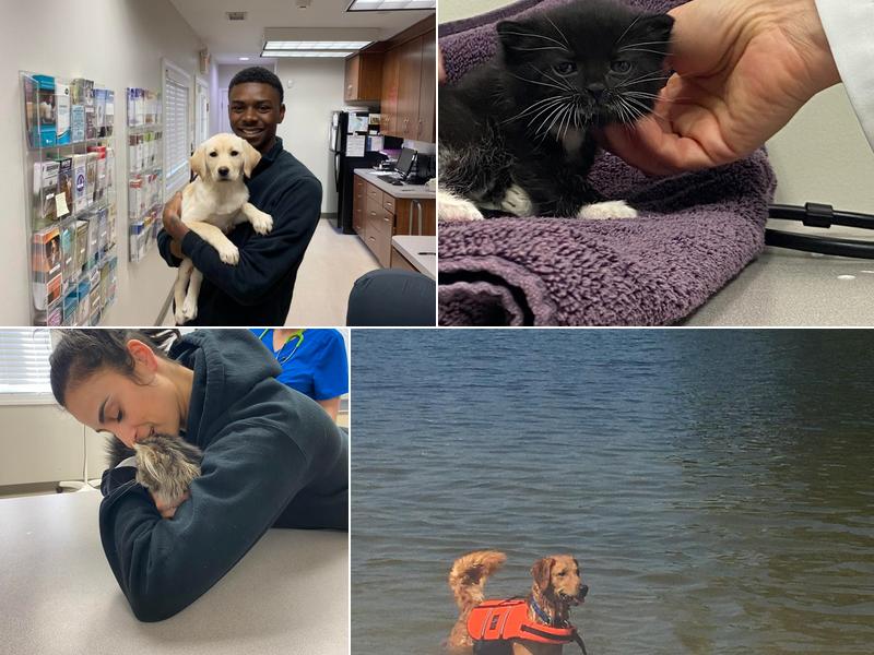 Severna Park Veterinary Hospital, Jessica M. Heard