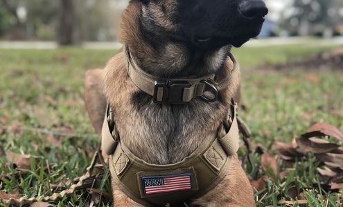 Animal Medical Center of Franklin