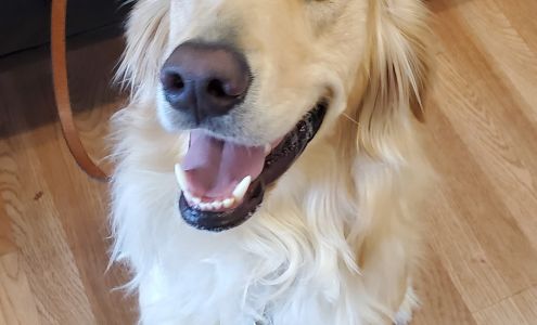 Kokopelli Animal Clinic