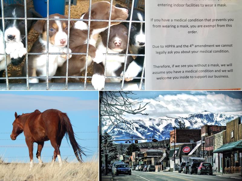 Absarokee Animal Hospital PC