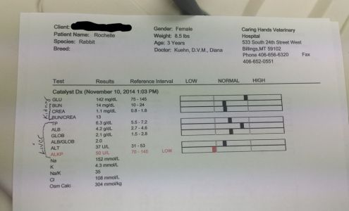 Caring Hands Veterinary Hospital: Seddon Olivia M DVM