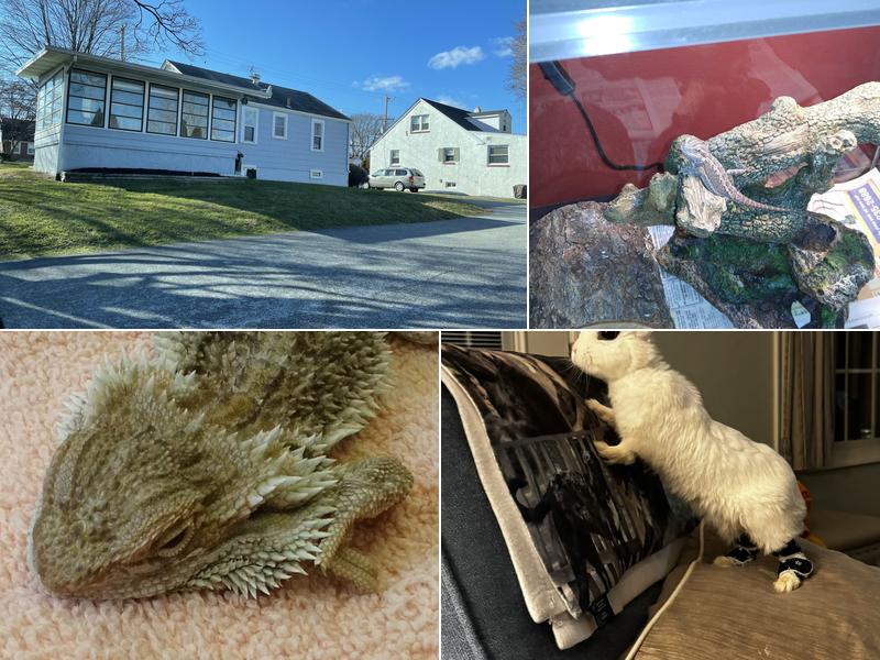 Avian & Exotic Animal Medical