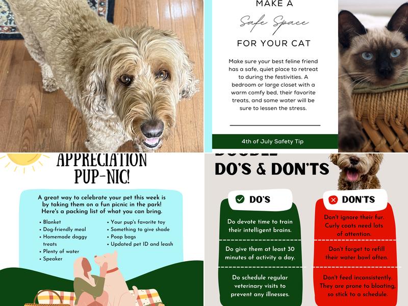 Windcrest Animal Hospital