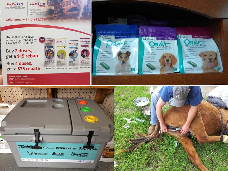 Rolling Rock Veterinary Service