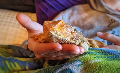 Animal Care Unlimited