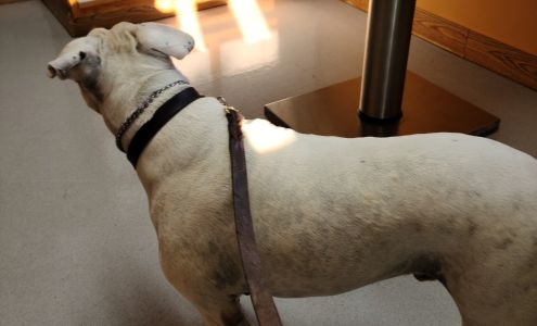 Heart Mountain Animal Health Powell