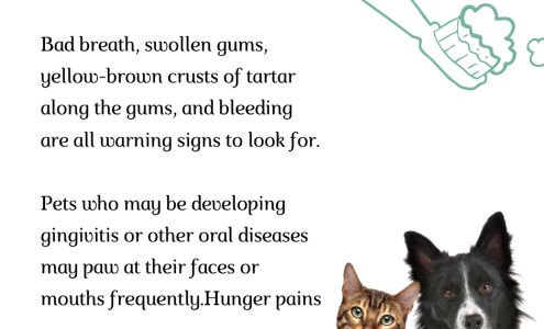 Greenbriar Animal Hospital: Goricki Constanze DVM