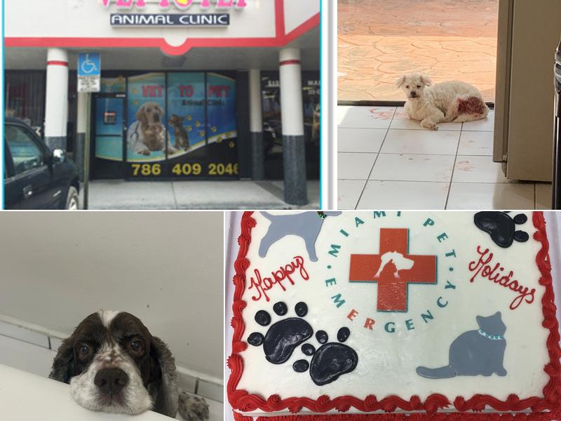 After Hours Vet To Pet