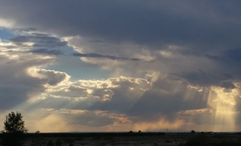 Bovine Veterinary Services PC 6674 Old Dexter Hwy, Roswell New Mexico 88203