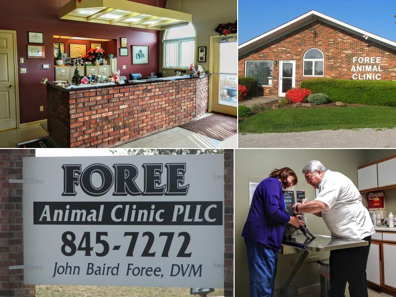 Foree JB DVM