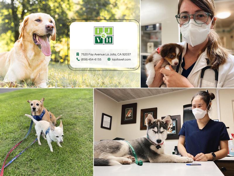 La Jolla Veterinary Hospital