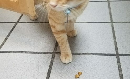 Econ River Animal Hospital